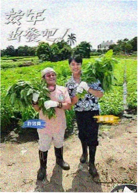 奔跑吧第十四季 收官